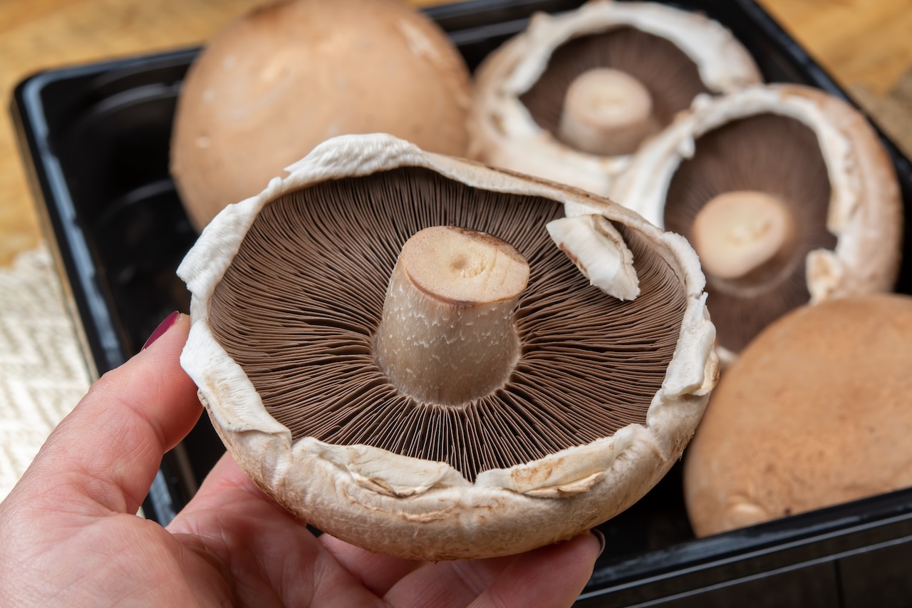 Portobello Mushrooms