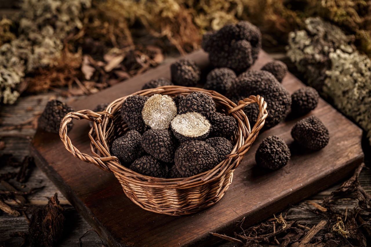 Black truffles gourmet mushrooms