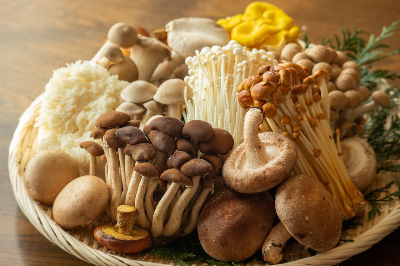 Basket of Mushrooms